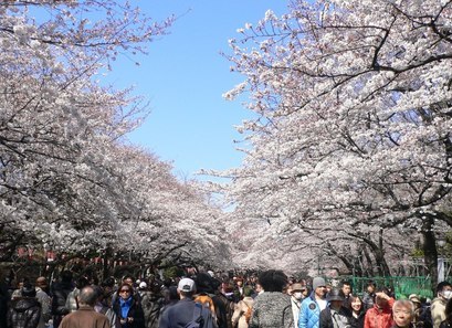 �������A��蓹�A�܂�蓹