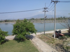 �������A��蓹�A�܂�蓹