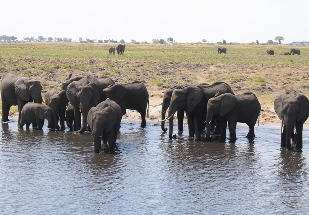 �������A��蓹�A�܂�蓹