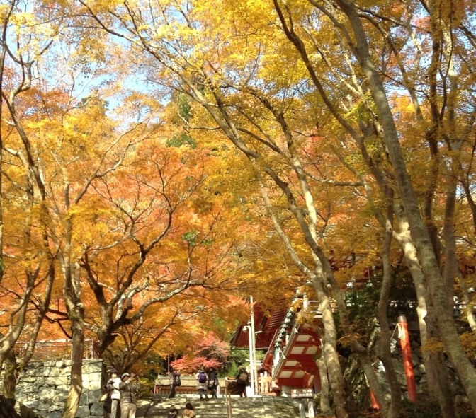 �������A��蓹�A�܂�蓹