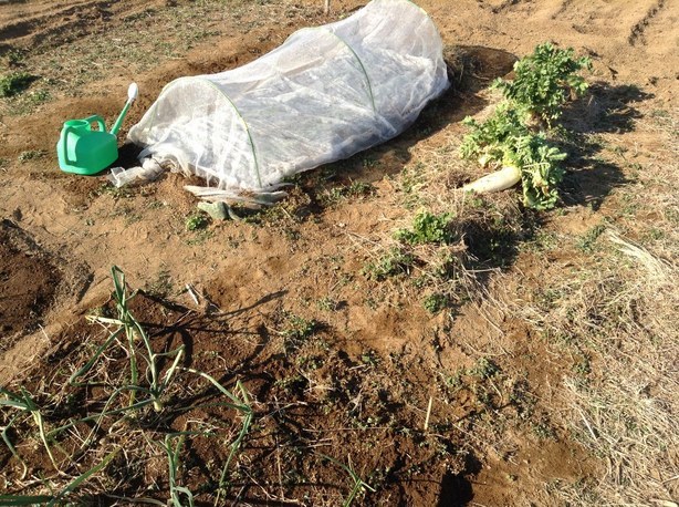 �������A��蓹�A�܂�蓹