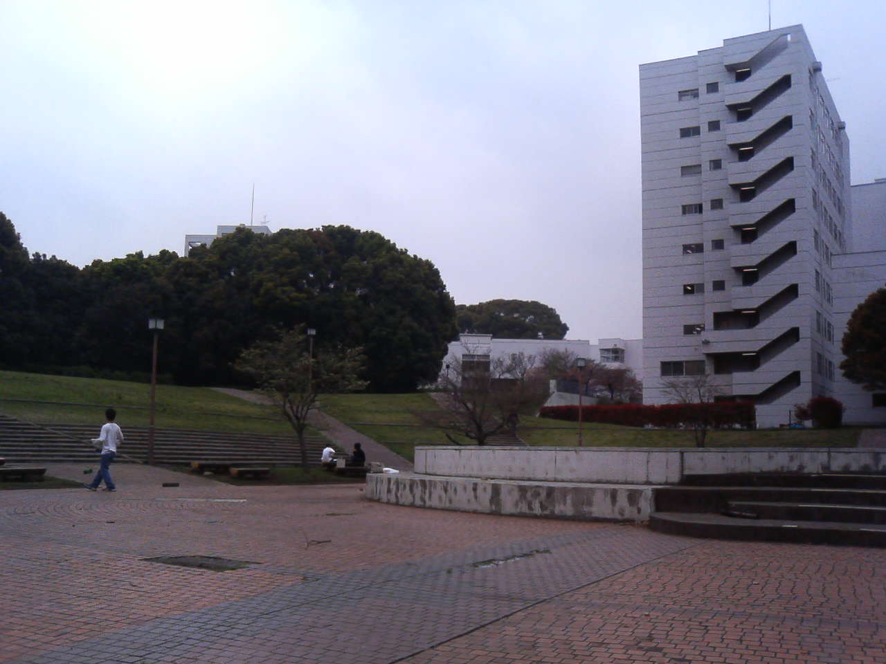 �������A��蓹�A�܂�蓹