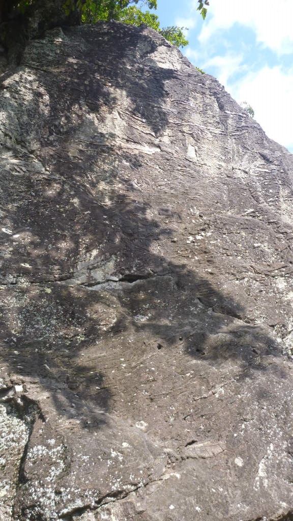 �����������̎R�����L�T