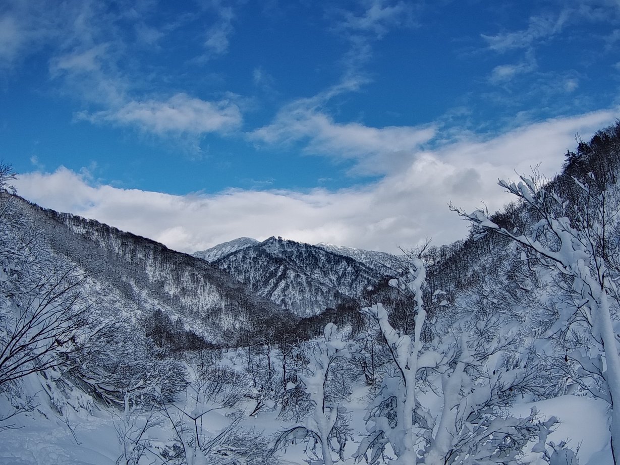 ������2DAY�{1�`��R���n��VOL4.5.6�i�m�d�s�R�x��h�g�`�k�t�h�g�s�b�N�X�j