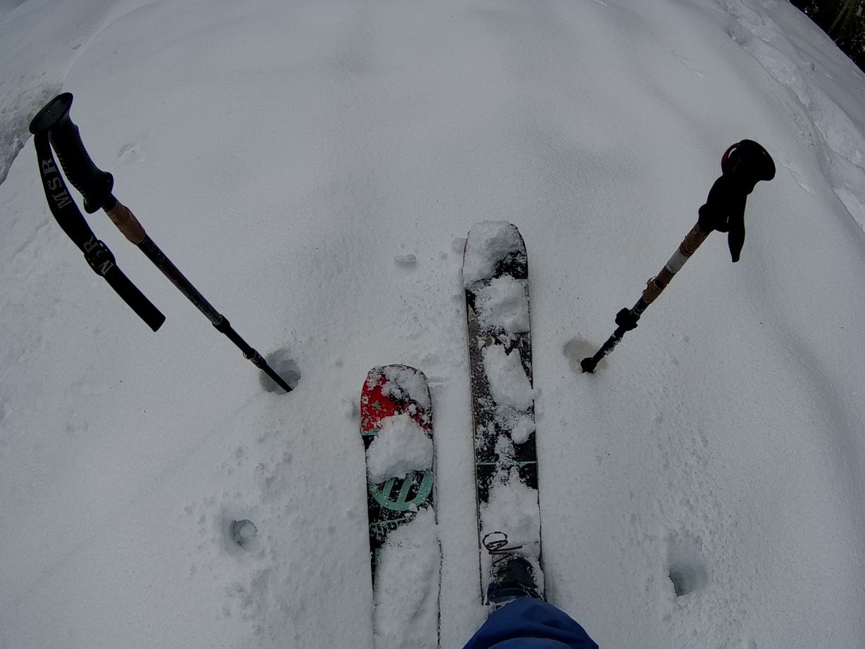 �V�t�_�C�A�����h�E�e�B�A�[�Y(�f�O)�����L�^�P/���X�L���[�i�m�d�s�R�x��h�g�`�k�t�h�g�s�b�N�X�j