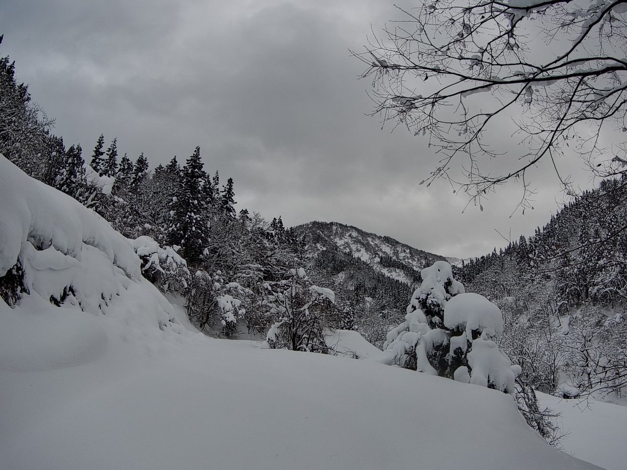 �m�d�s�R�x��h�g�`�k�t�h�g�s�b�N�X