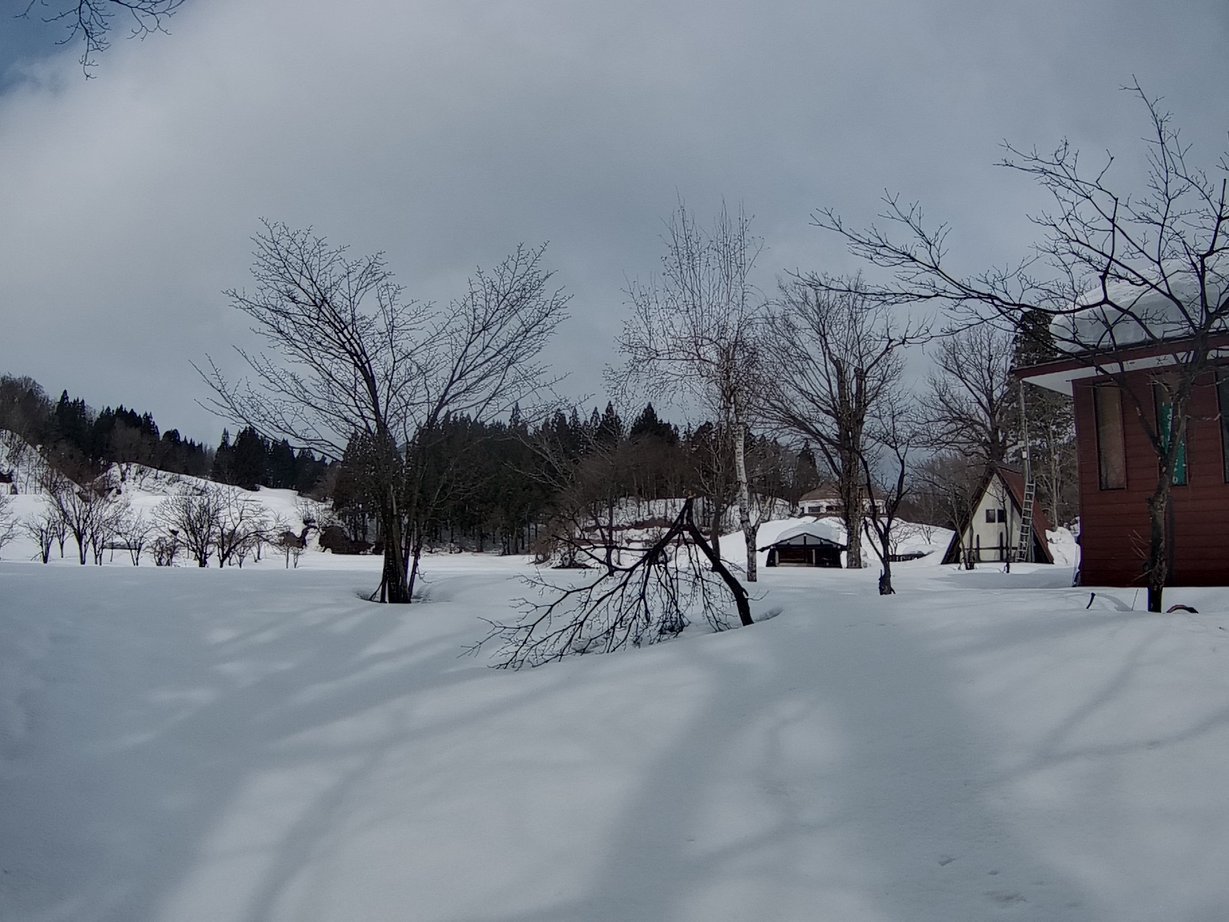 �m�d�s�R�x��h�g�`�k�t�h�g�s�b�N�X