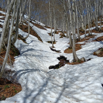 �m�d�s�R�x��h�g�`�k�t�h�g�s�b�N�X