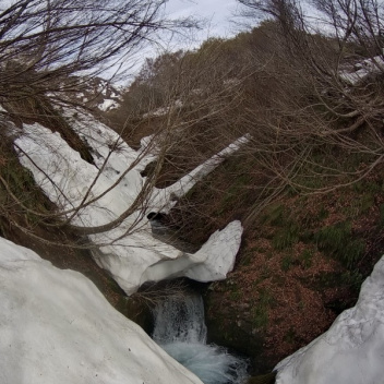 �m�d�s�R�x��h�g�`�k�t�h�g�s�b�N�X