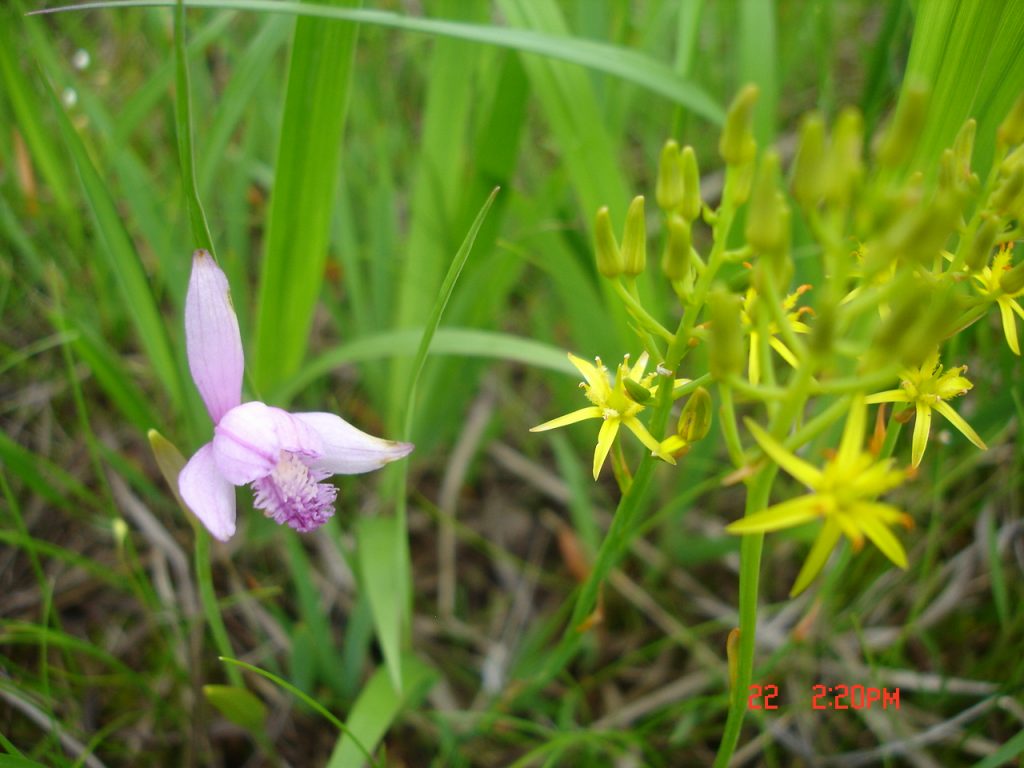 �m�d�s�R�x��h�g�`�k�t�h