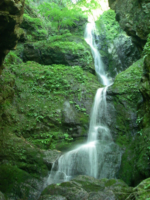 �m�d�s�R�x��h�g�`�k�t�h