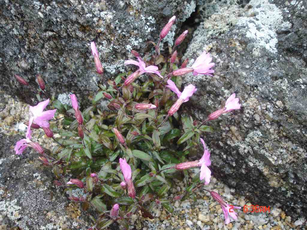 �m�d�s�R�x��h�g�`�k�t�h