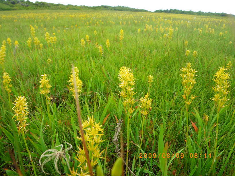 �m�d�s�R�x��h�g�`�k�t�h