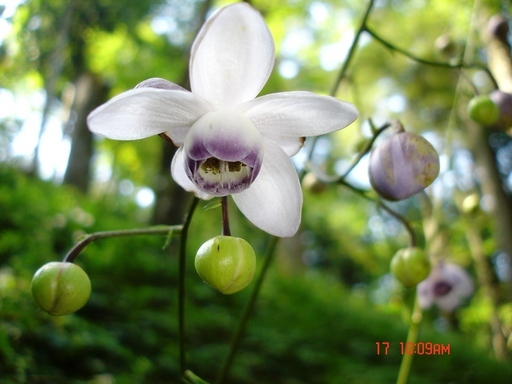 �m�d�s�R�x��h�g�`�k�t�h