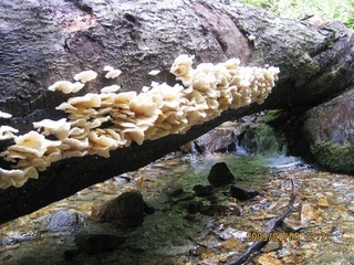 �m�d�s�R�x��h�g�`�k�t�h