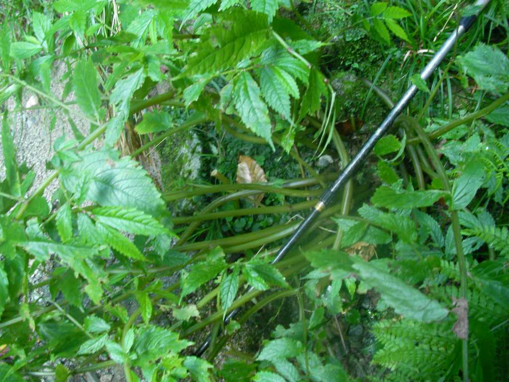 �m�d�s�R�x��h�g�`�k�t�h