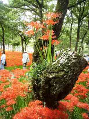 �m�d�s�R�x��h�g�`�k�t�h