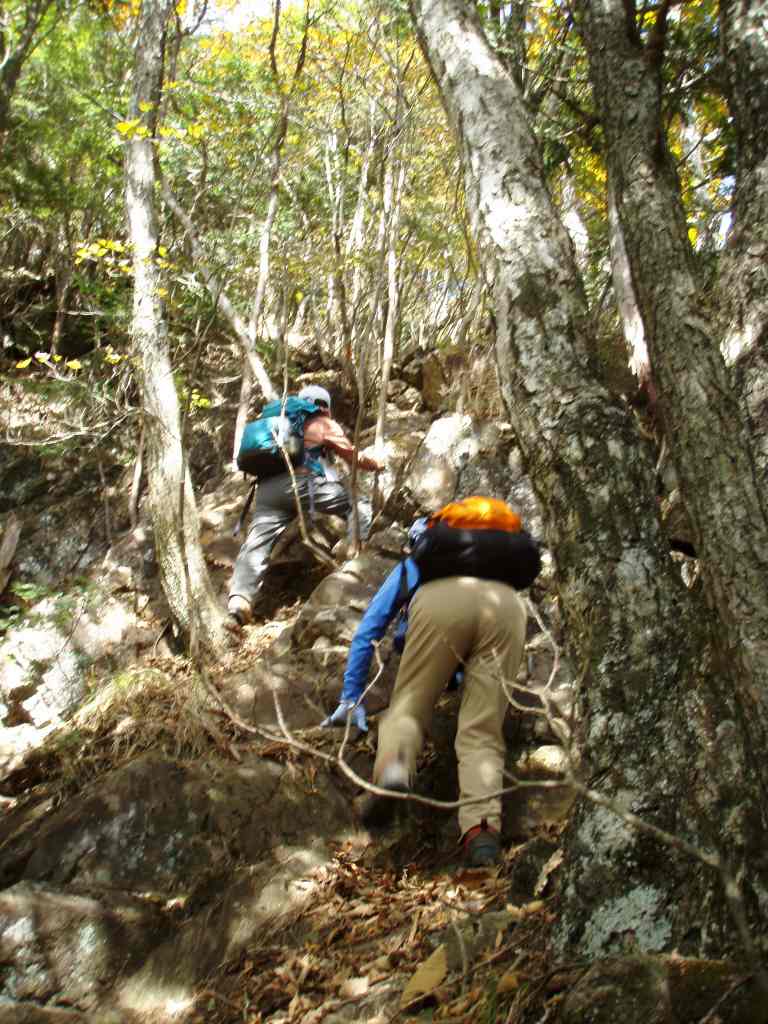 �m�d�s�R�x��h�g�`�k�t�h