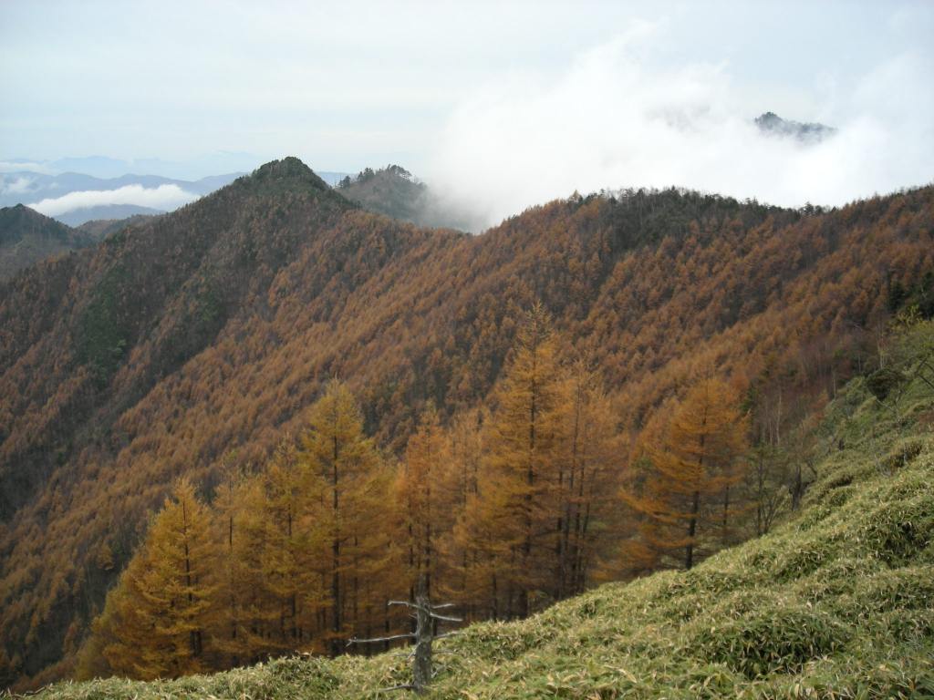 �m�d�s�R�x��h�g�`�k�t�h