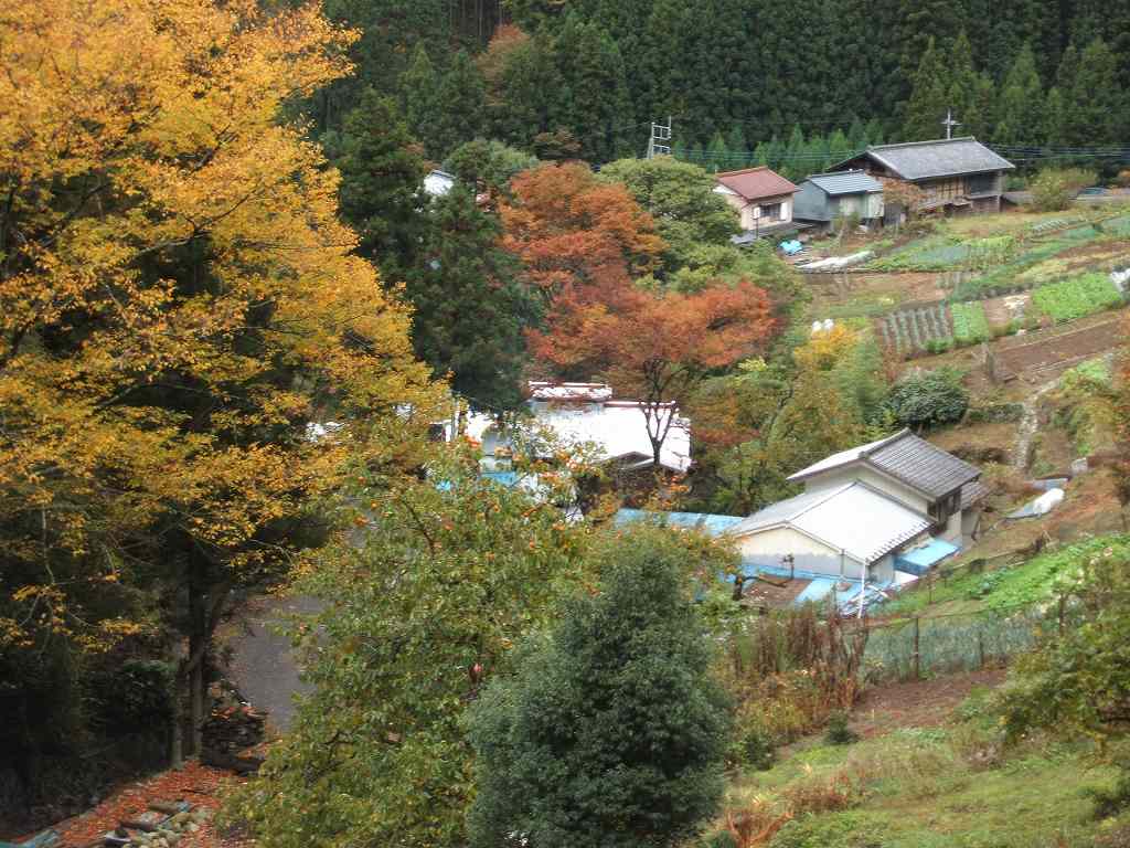 �m�d�s�R�x��h�g�`�k�t�h