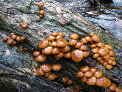 �m�d�s�R�x��h�g�`�k�t�h