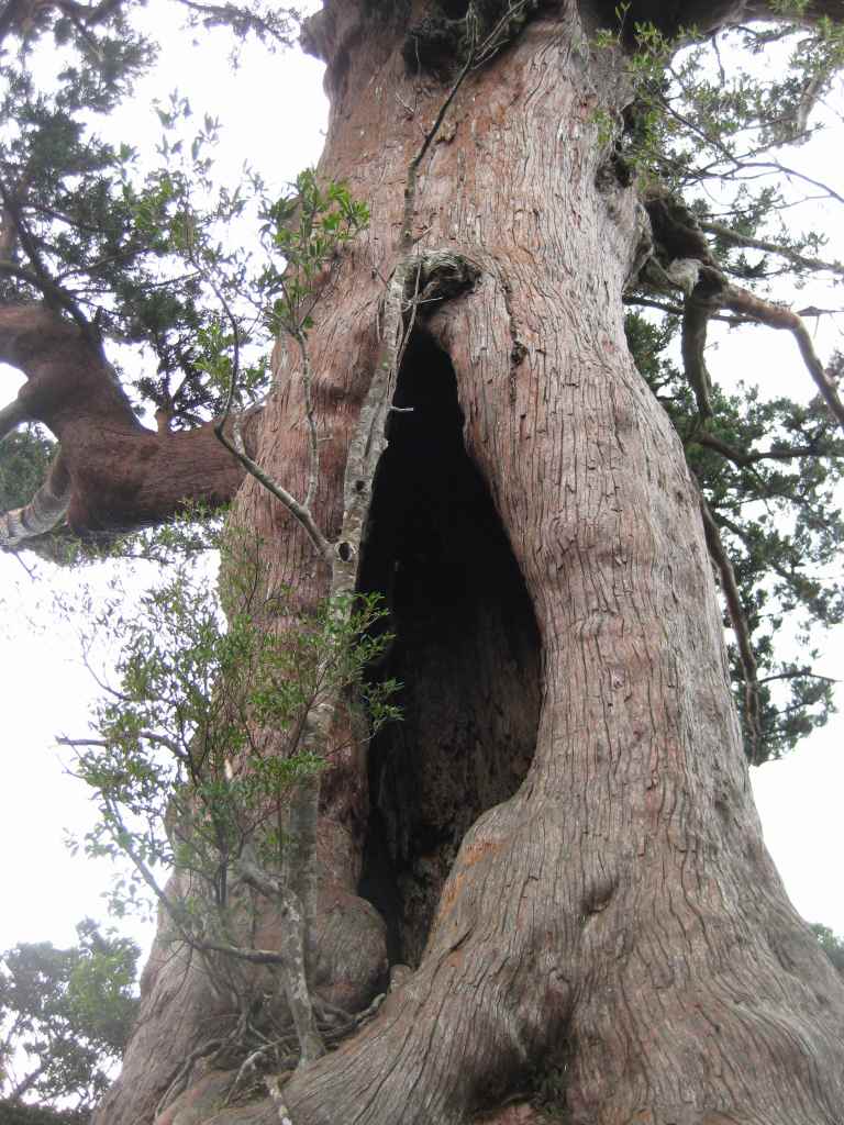 �m�d�s�R�x��h�g�`�k�t�h