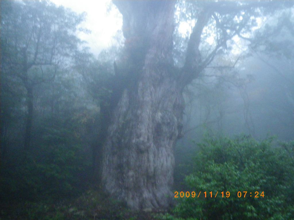 �m�d�s�R�x��h�g�`�k�t�h