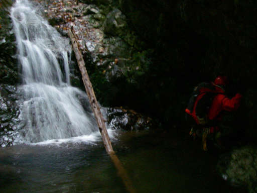 �m�d�s�R�x��h�g�`�k�t�h