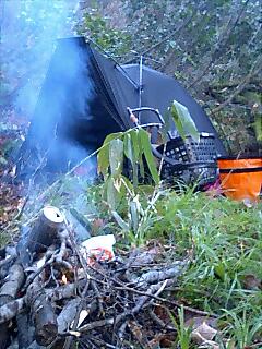 �m�d�s�R�x��h�g�`�k�t�h