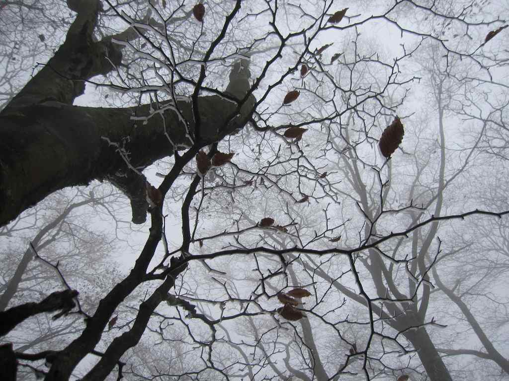 �m�d�s�R�x��h�g�`�k�t�h