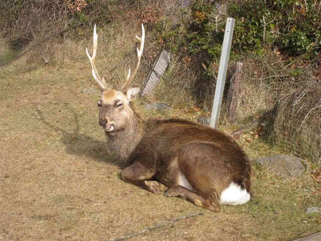 �m�d�s�R�x��h�g�`�k�t�h