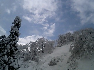 �m�d�s�R�x��h�g�`�k�t�h