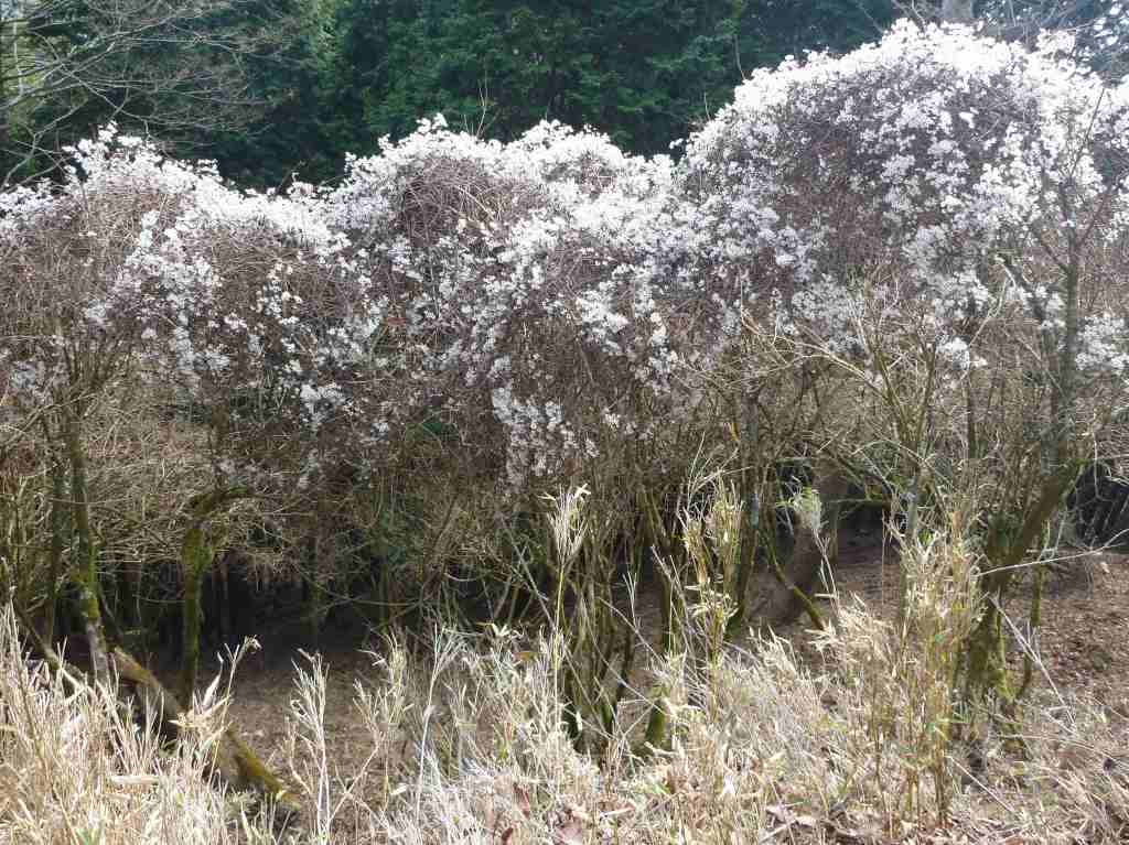 �m�d�s�R�x��h�g�`�k�t�h