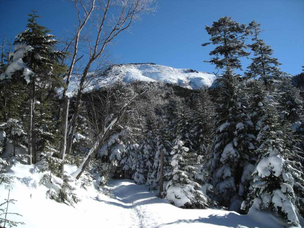 �m�d�s�R�x��h�g�`�k�t�h