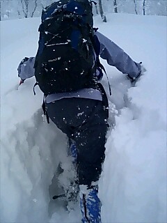 �m�d�s�R�x��h�g�`�k�t�h