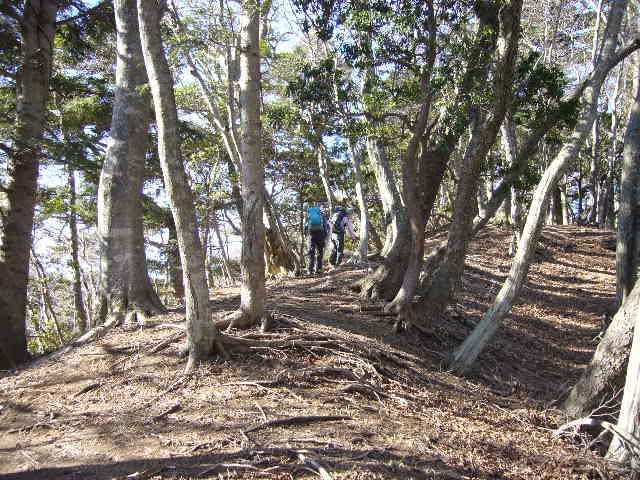 �m�d�s�R�x��h�g�`�k�t�h