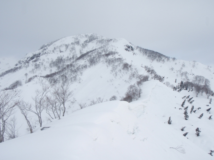 �m�d�s�R�x��h�g�`�k�t�h