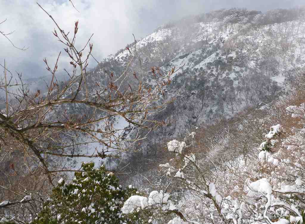 �m�d�s�R�x��h�g�`�k�t�h