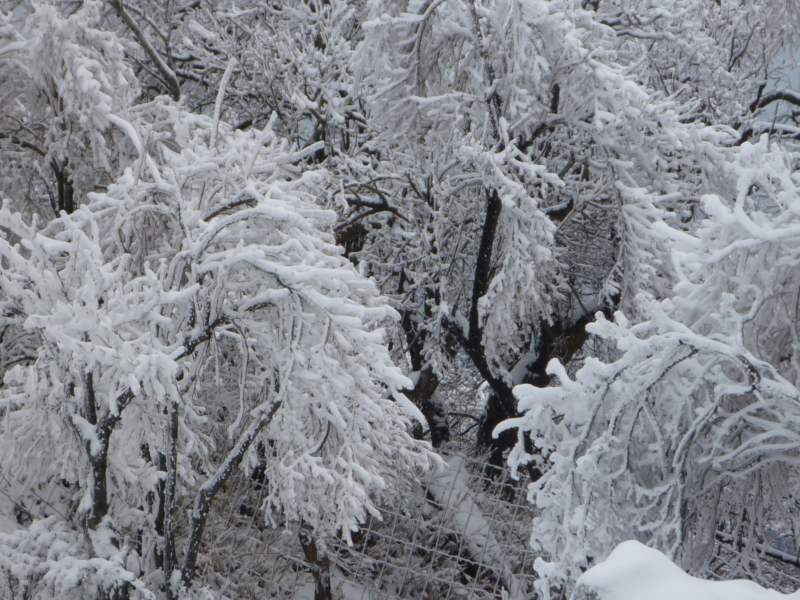 �m�d�s�R�x��h�g�`�k�t�h