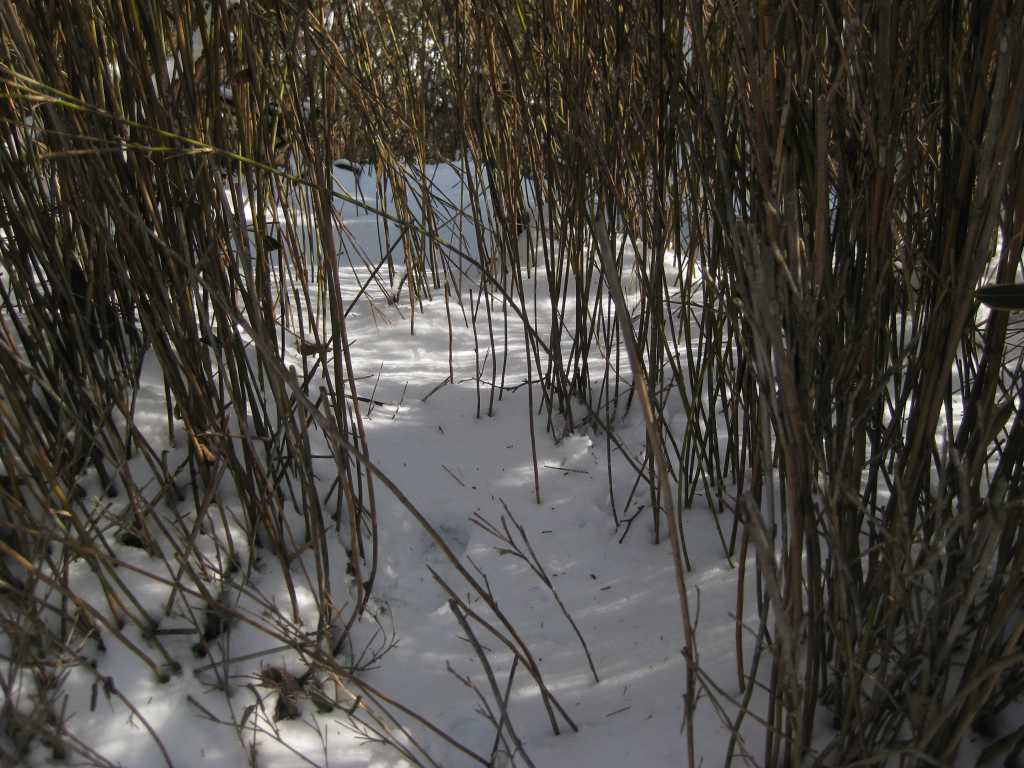 �m�d�s�R�x��h�g�`�k�t�h