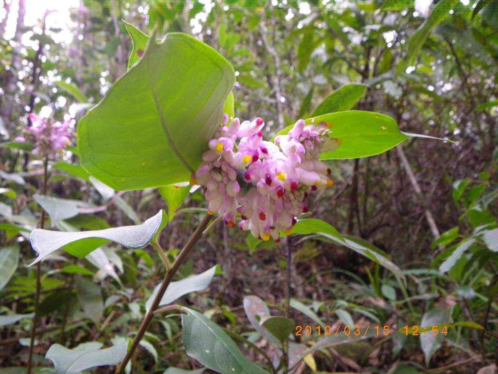 �m�d�s�R�x��h�g�`�k�t�h