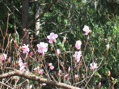 �m�d�s�R�x��h�g�`�k�t�h