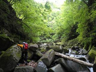 �m�d�s�R�x��h�g�`�k�t�h