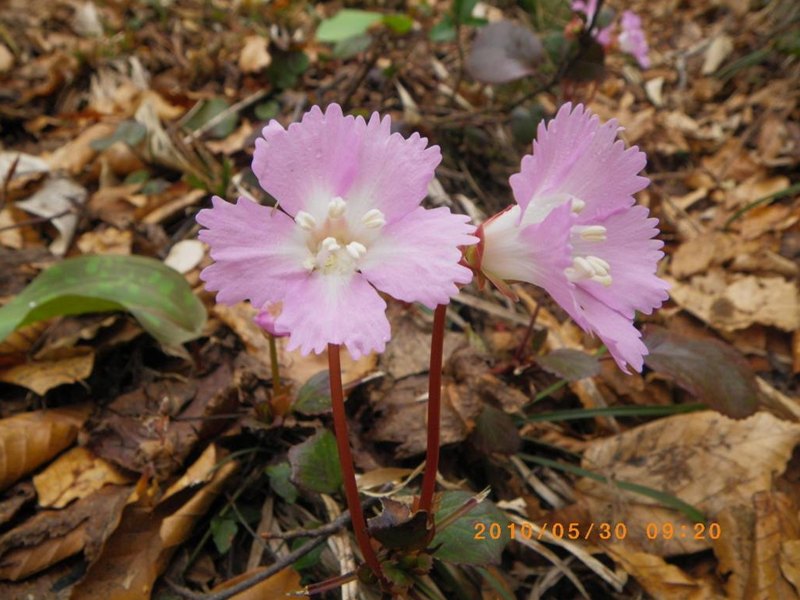 �m�d�s�R�x��h�g�`�k�t�h