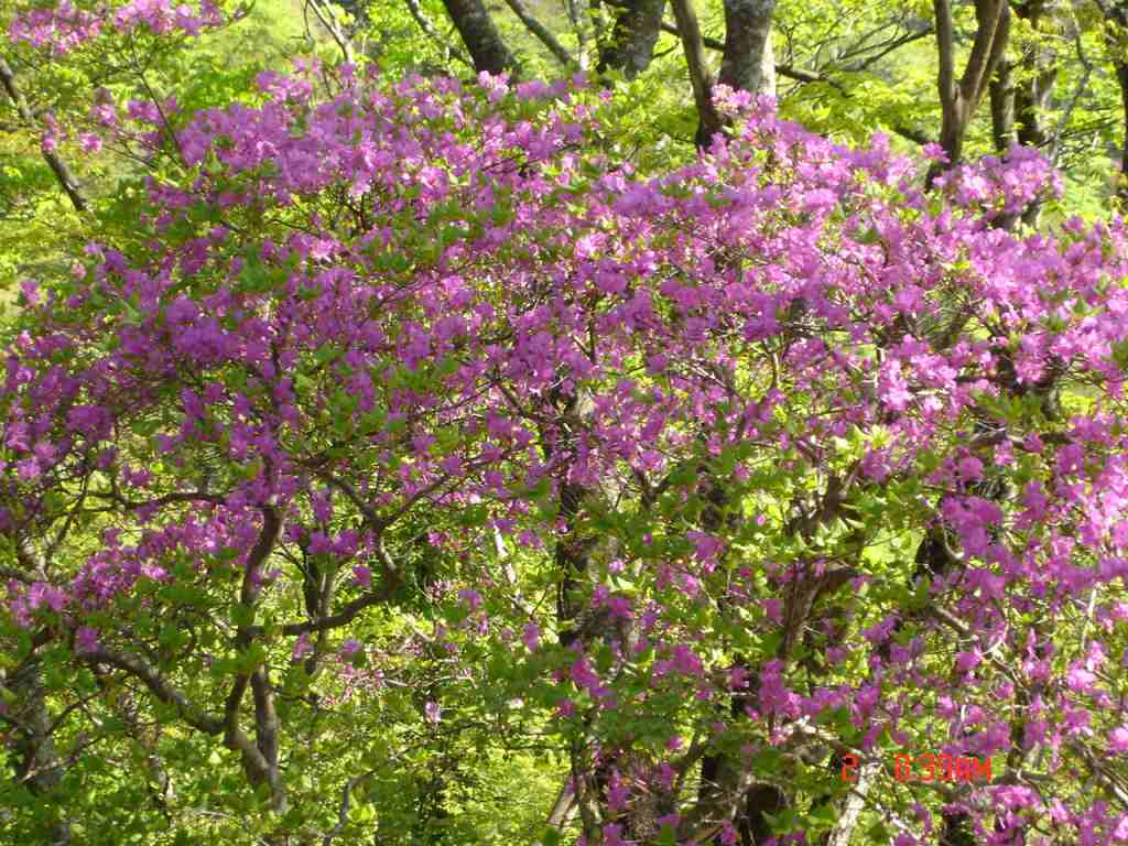 �m�d�s�R�x��h�g�`�k�t�h