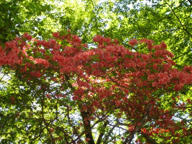 �m�d�s�R�x��h�g�`�k�t�h