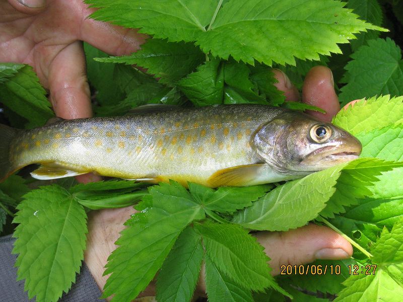 �m�d�s�R�x��h�g�`�k�t�h