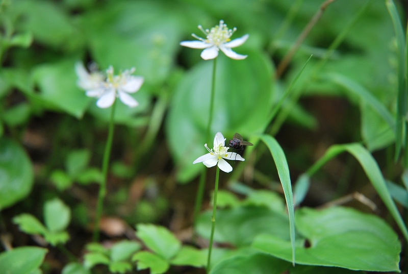 �m�d�s�R�x��h�g�`�k�t�h