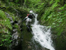 �m�d�s�R�x��h�g�`�k�t�h