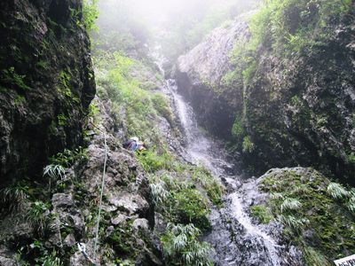 �m�d�s�R�x��h�g�`�k�t�h